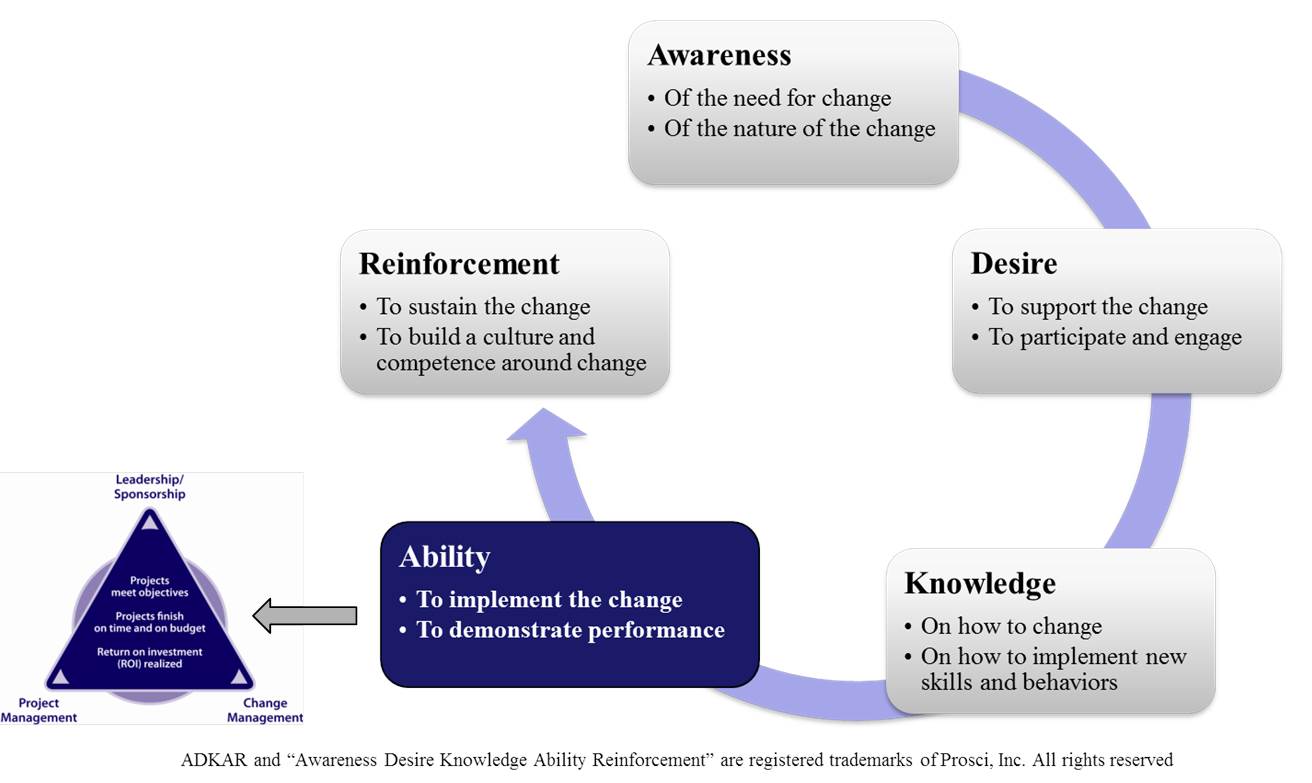 Change Management and Communication – Investigations of a Dog