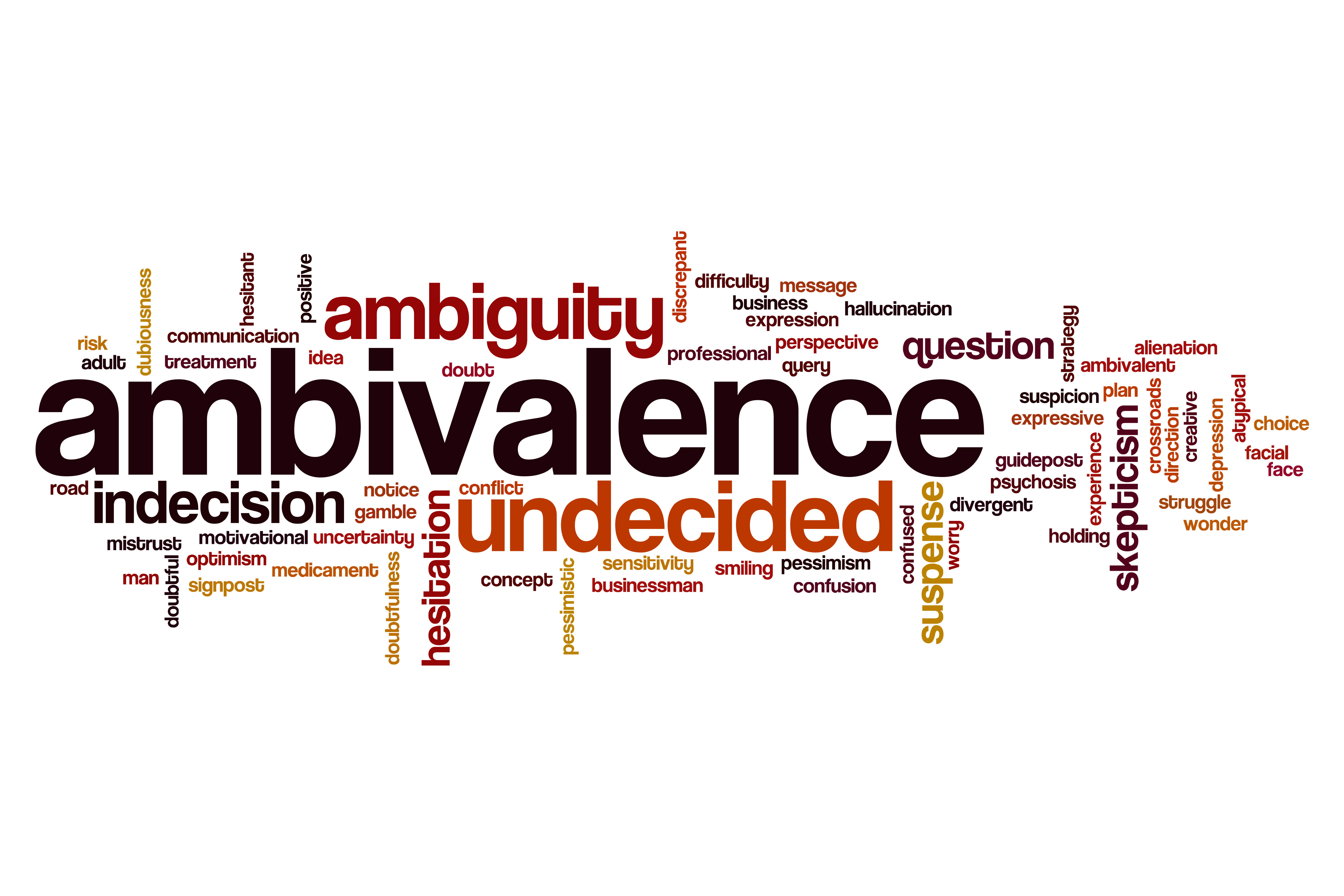 Dealing with Emotional Ambivalence – Investigations of a Dog