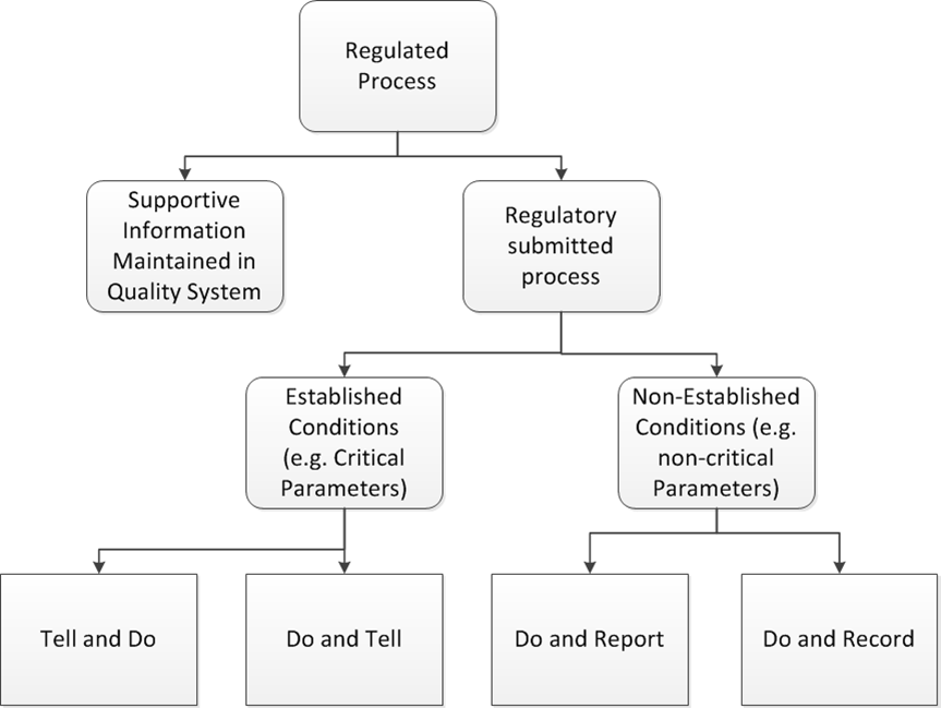 Classification of Changes for GMP/GDP – Investigations of a Dog