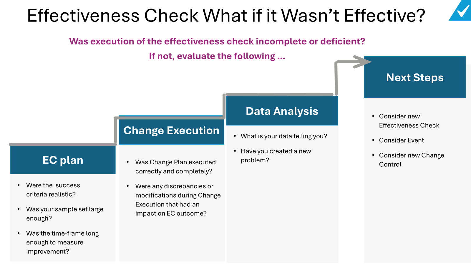 Effectiveness Check Strategy – Investigations of a Dog